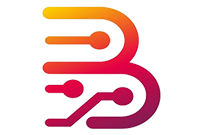 Borneo Schematics | 1 USER | 6 Month | Activation Code | New / Renew